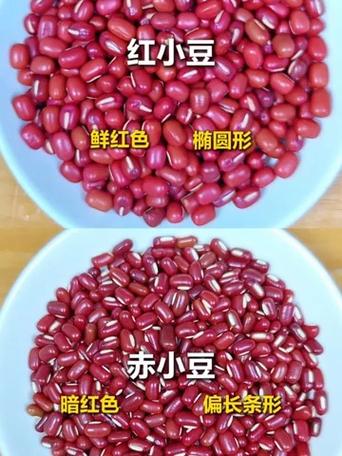 小豆和红小豆有什么区别
