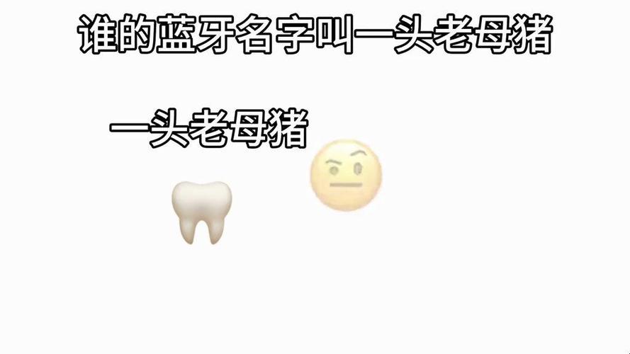 蓝牙名字搞笑的名字
