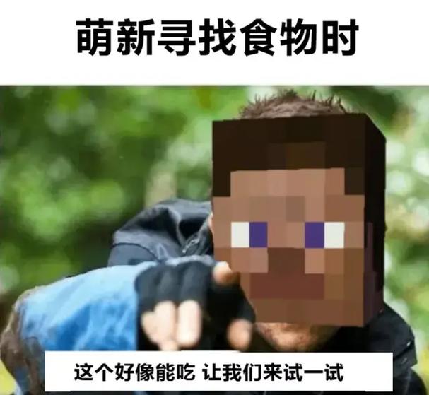 我的世界梗图
