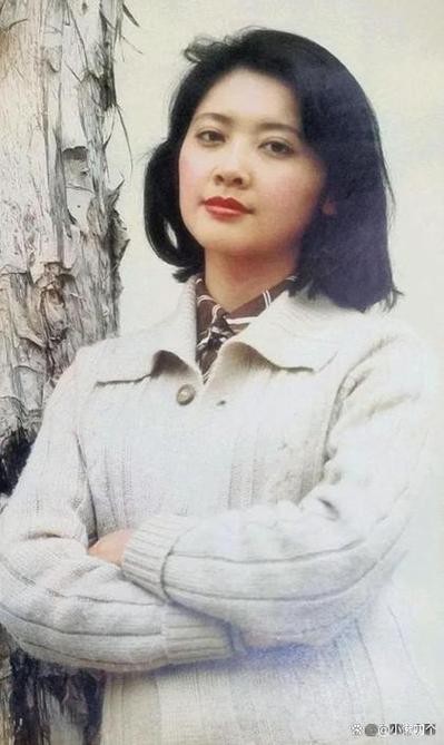 重生1978从征服朱琳开始