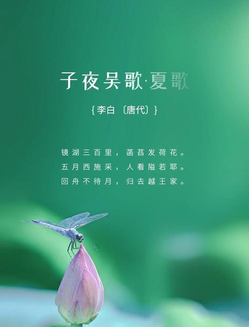 关于夏天的古诗30首