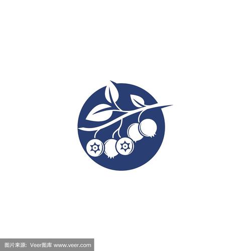 蓝莓框架下载