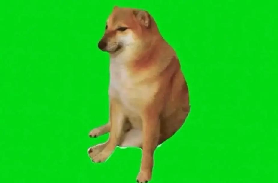 地铁逃生小狗版