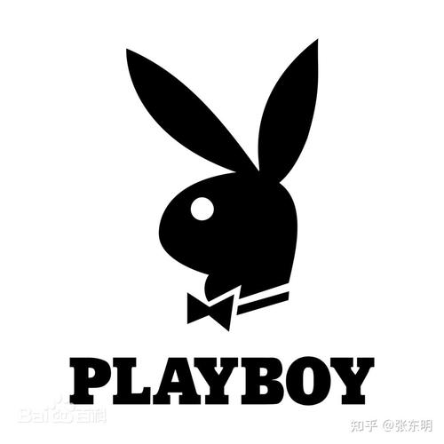 英语课代表的兔子好大好软好好
