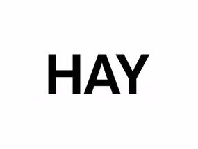 Hay海外版