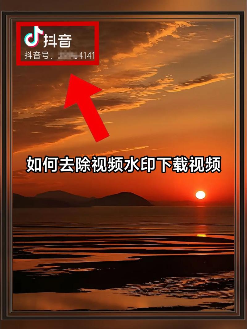 linecamera怎么去水印