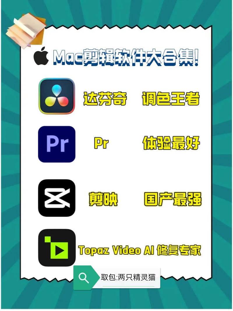 vs剪辑软件中文