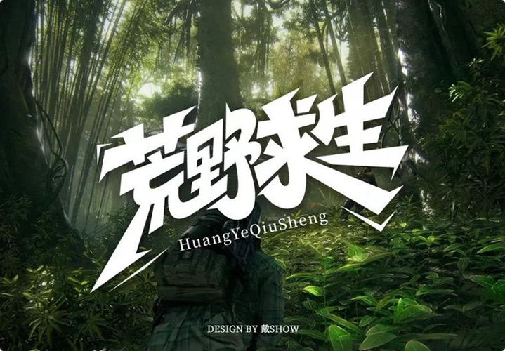 野外生存类单机游戏