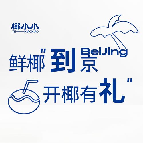 椰子助手手机版
