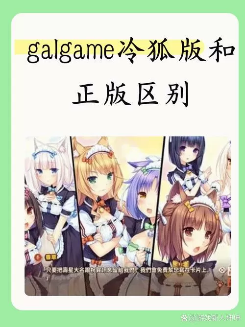 冷狐slg互动绅士游戏汉化直装
