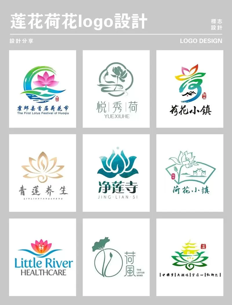 荷花概括主要内容