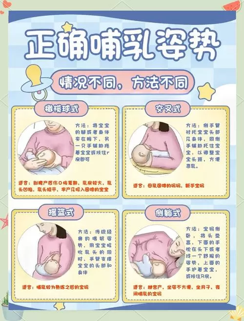 哺乳教程10