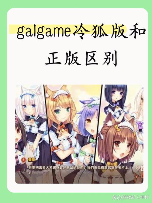 冷狐slg互动绅士游戏国际版