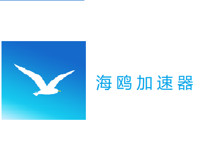 海鸥加速器正版官网无广告纯净版