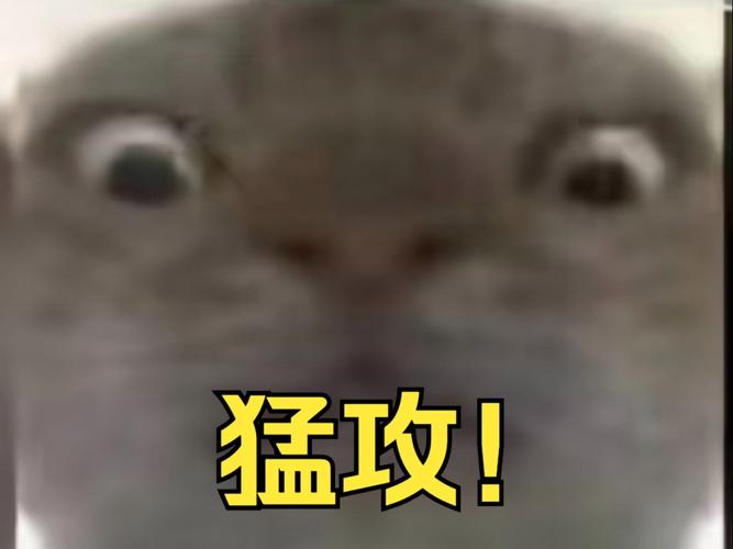 鼠鼠猛攻表情包