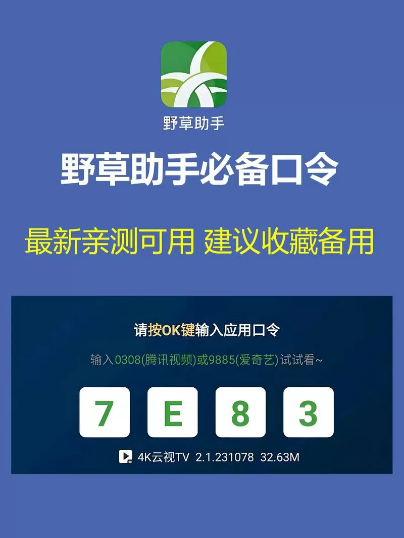野草口令100个