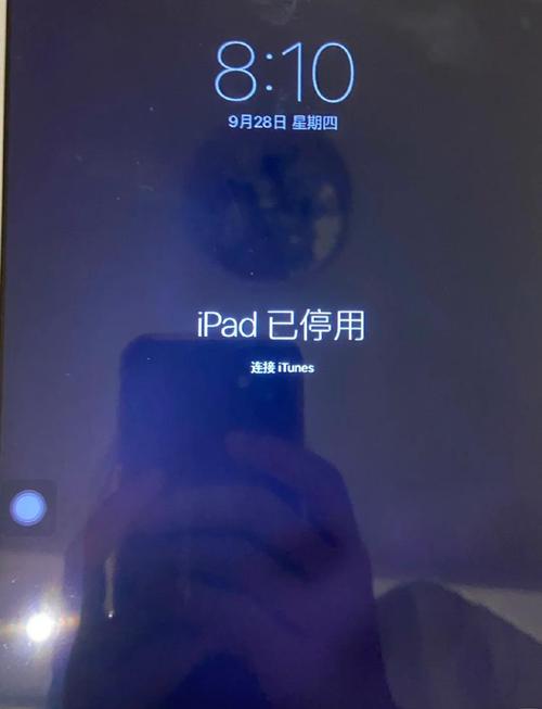已在ipad上停用查找是什么意思