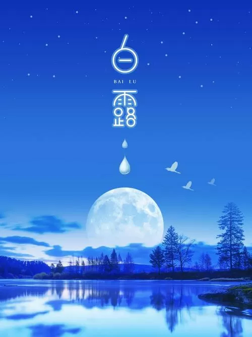 白露直播最新版安装到手机哪里了