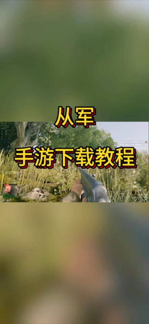 从军手机版汉化版绿色版