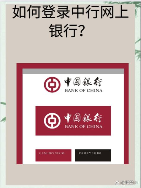 中国银行网上银行登录官网入口综合外挂