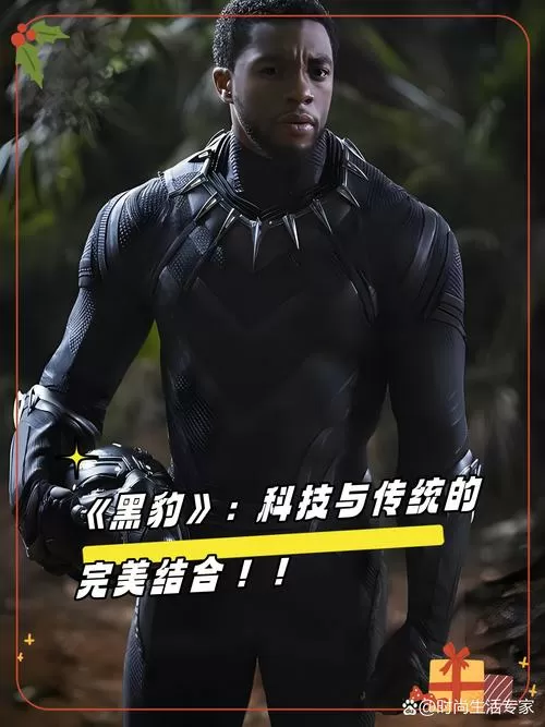 黑豹国语在线观看免费