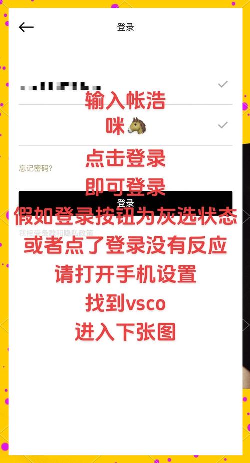 vsco官方版免费外挂