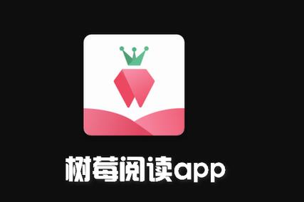 树莓阅读怎么