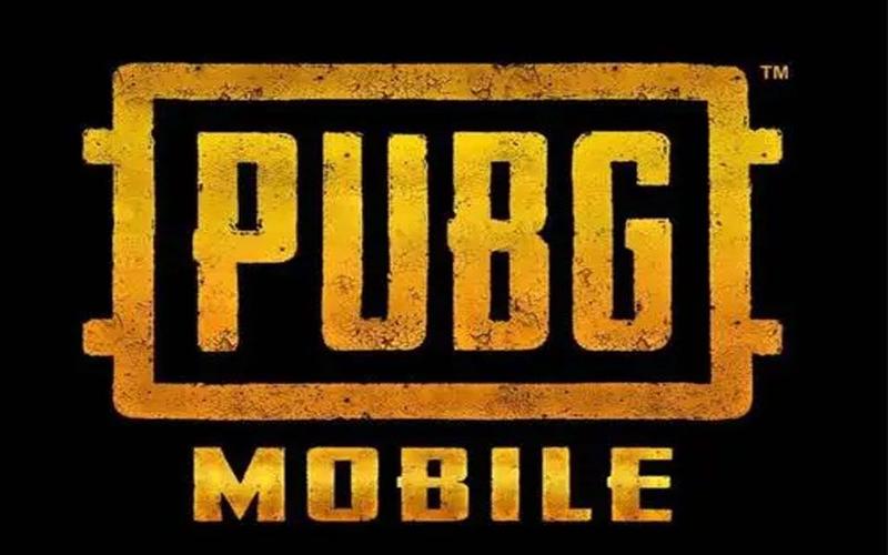 pubg小初生全防黄化版