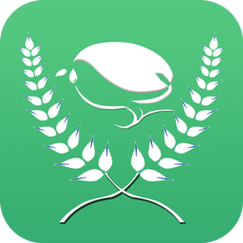 种子app