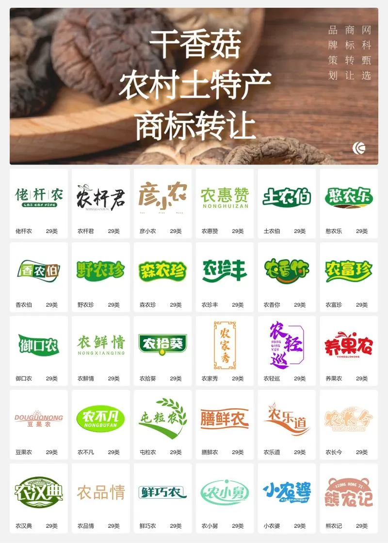 蘑菇菌种在哪里买