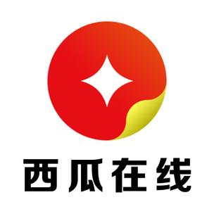 西瓜提额app