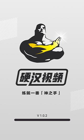 硬汉视频在线观看免费完整版