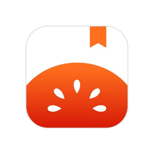 番茄小说免费版无广告国际版
