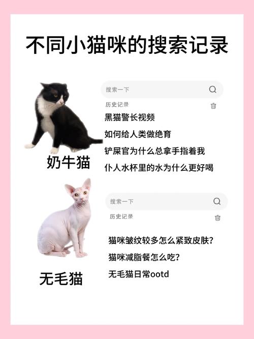 猫咪段子2023最新版特色安卓版