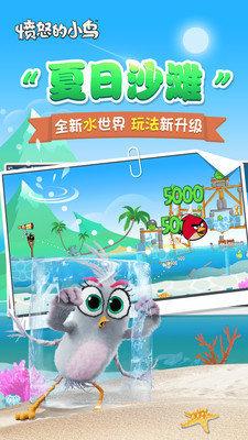 暴怒的小鸟红包版  页面无弹窗