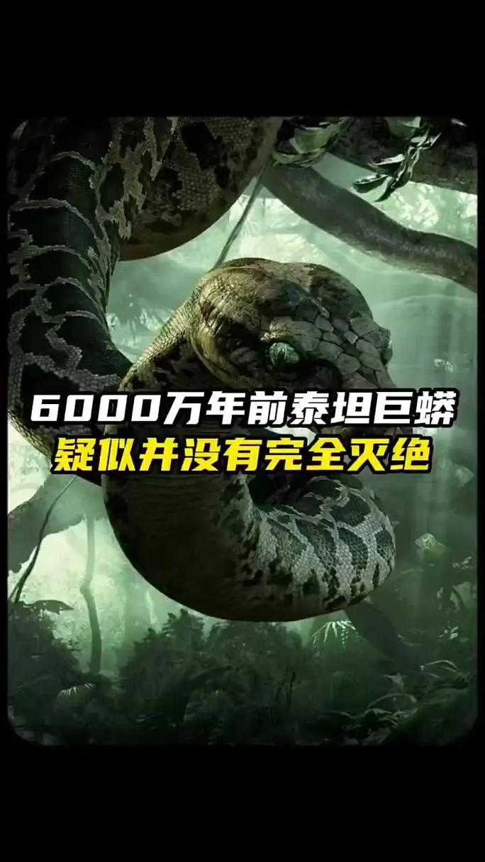 泰坦巨蟒手机版