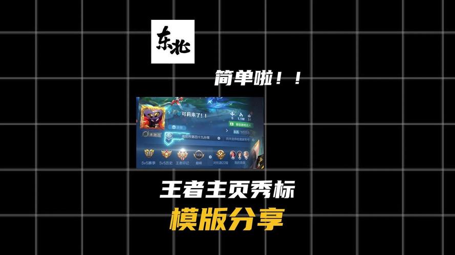 王者主页资料修改器无广告纯净版