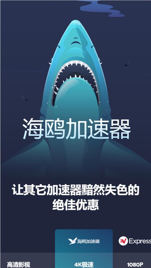 SEAGULL海鸥加速器(海鸥加速器)