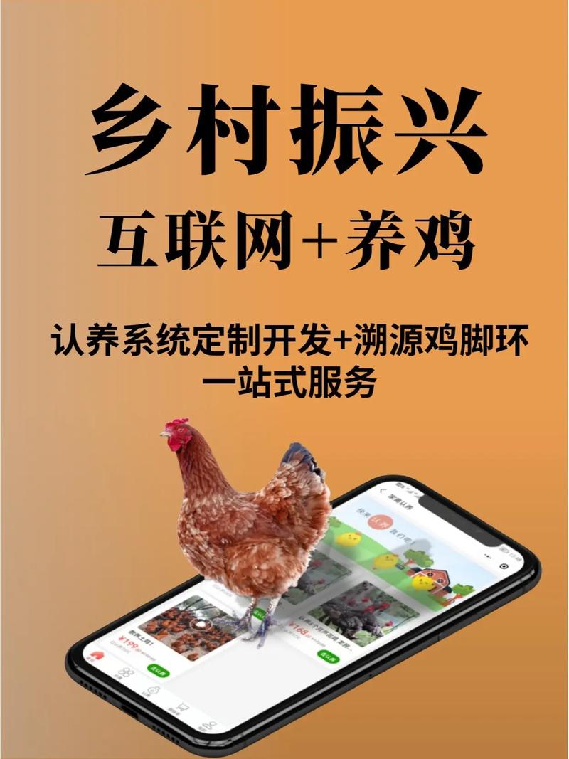 云养鸡养殖赚钱