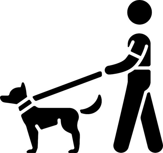 全民遛狗(养狗赚钱)
