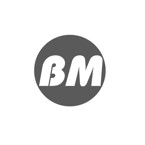 BM矿工赚钱版