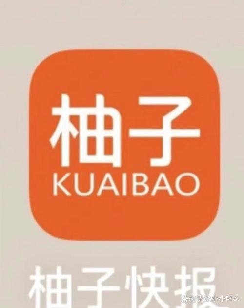 柚子快报安装