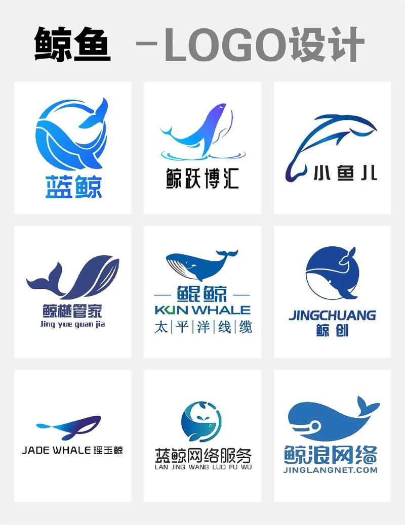 鲸赚钱