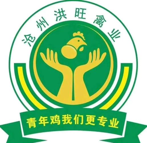 全民养蛋鸡