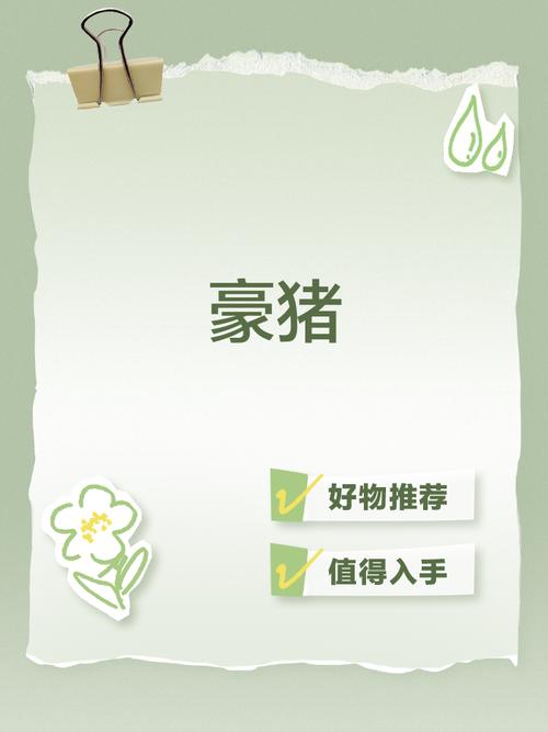 豪猪网手机赚钱官
