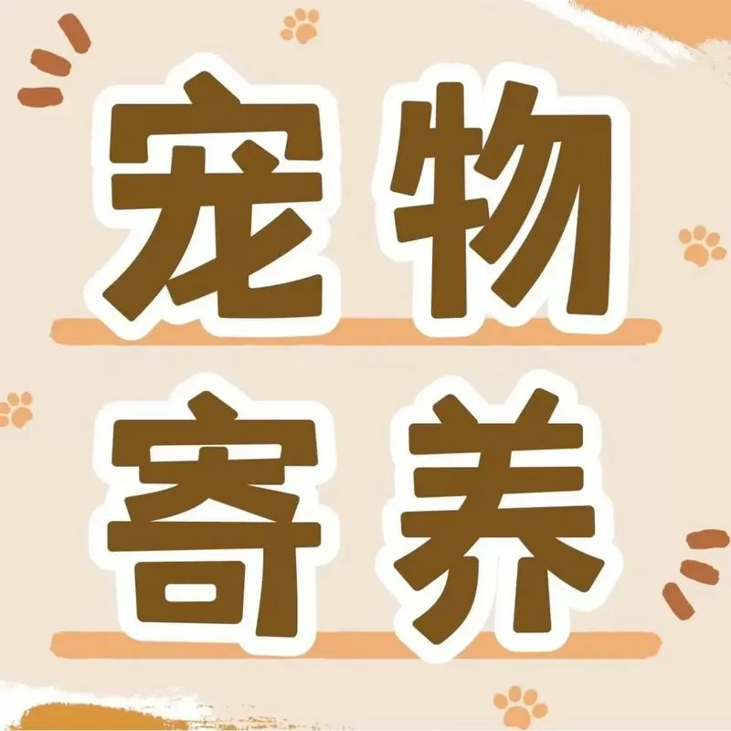 猫咪送去寄养会不会觉得被抛弃了