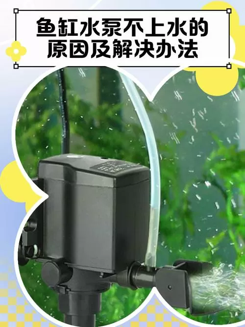 鱼缸水泵抽不上水怎么解决