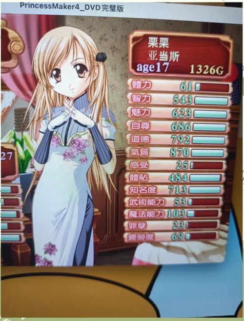 美少女梦工厂4游戏