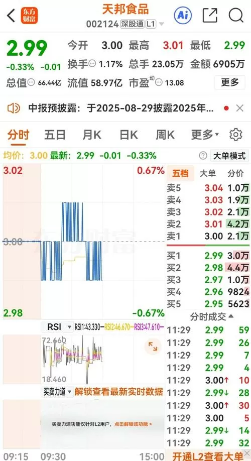 天邦股份股票